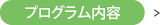 プログラム内容